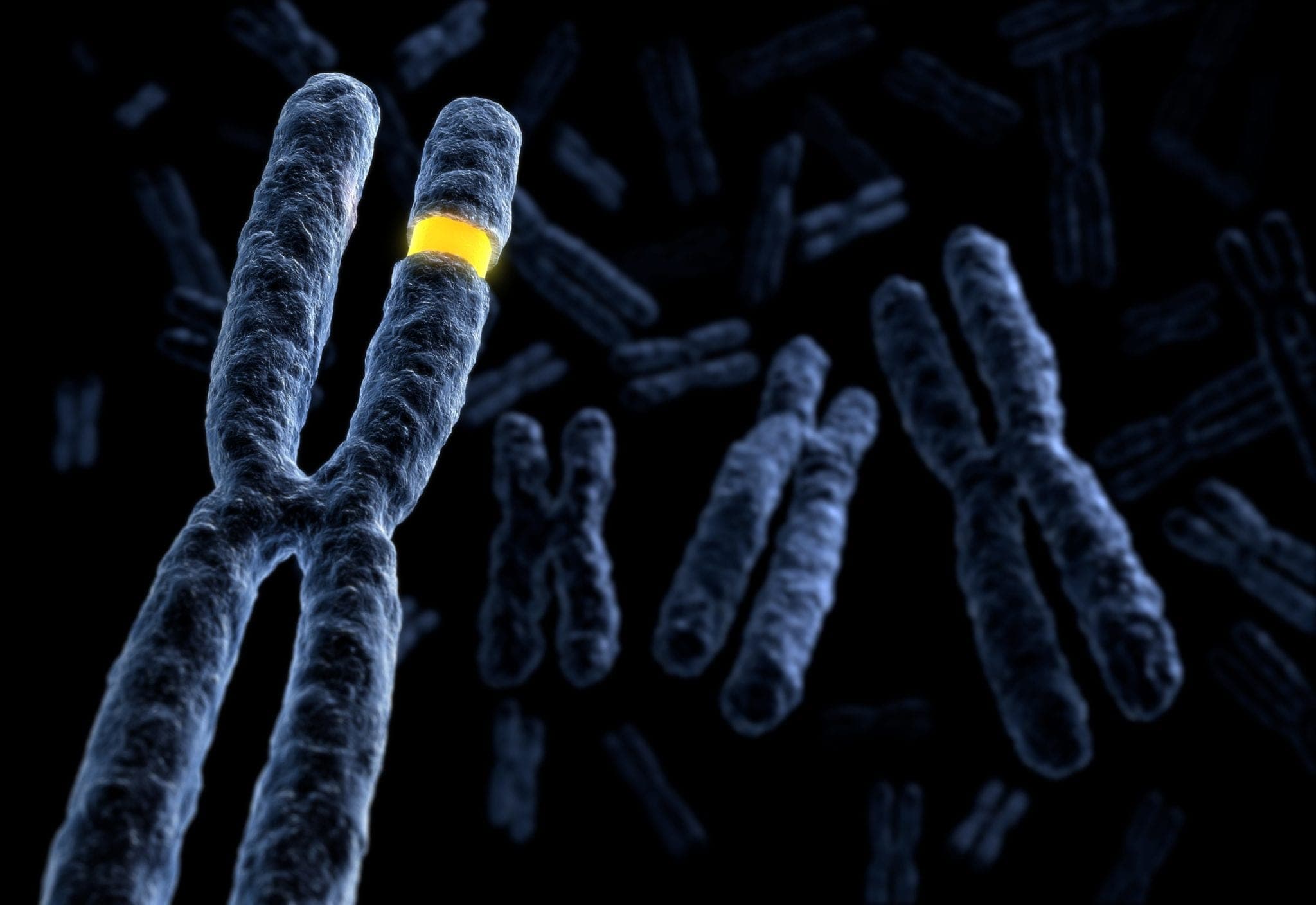 3D Signatures: An Entirely New Class of Biomarkers