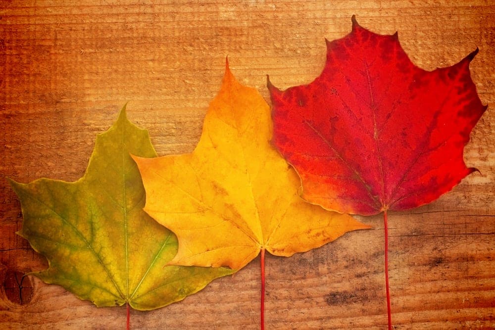 Why the TSX and the TSX Venture are About to Change
