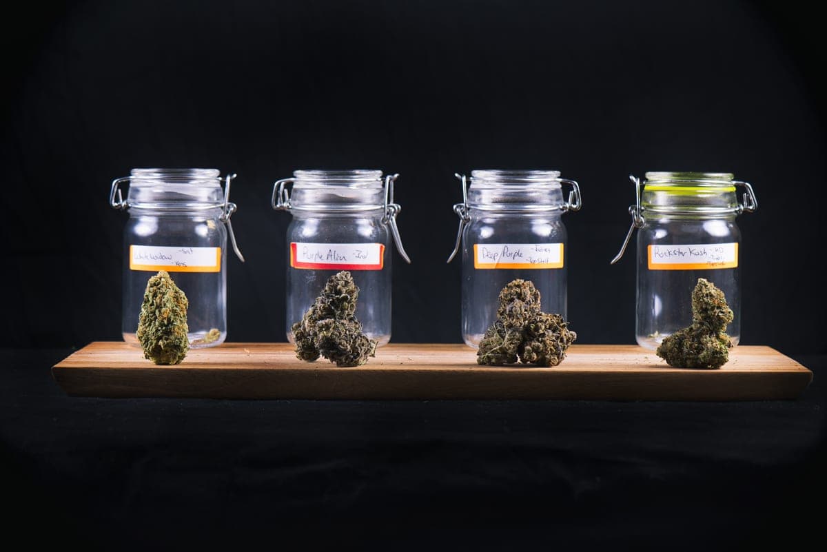 What Just Happened to My Weed Stocks?