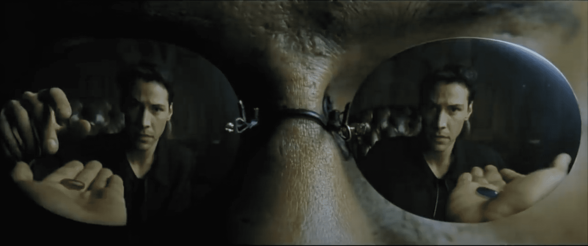 Reality Exposed: Will You Take the Blue or Red Pill?