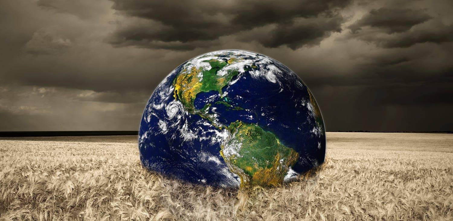 How to Profit from the New US Farm Bill