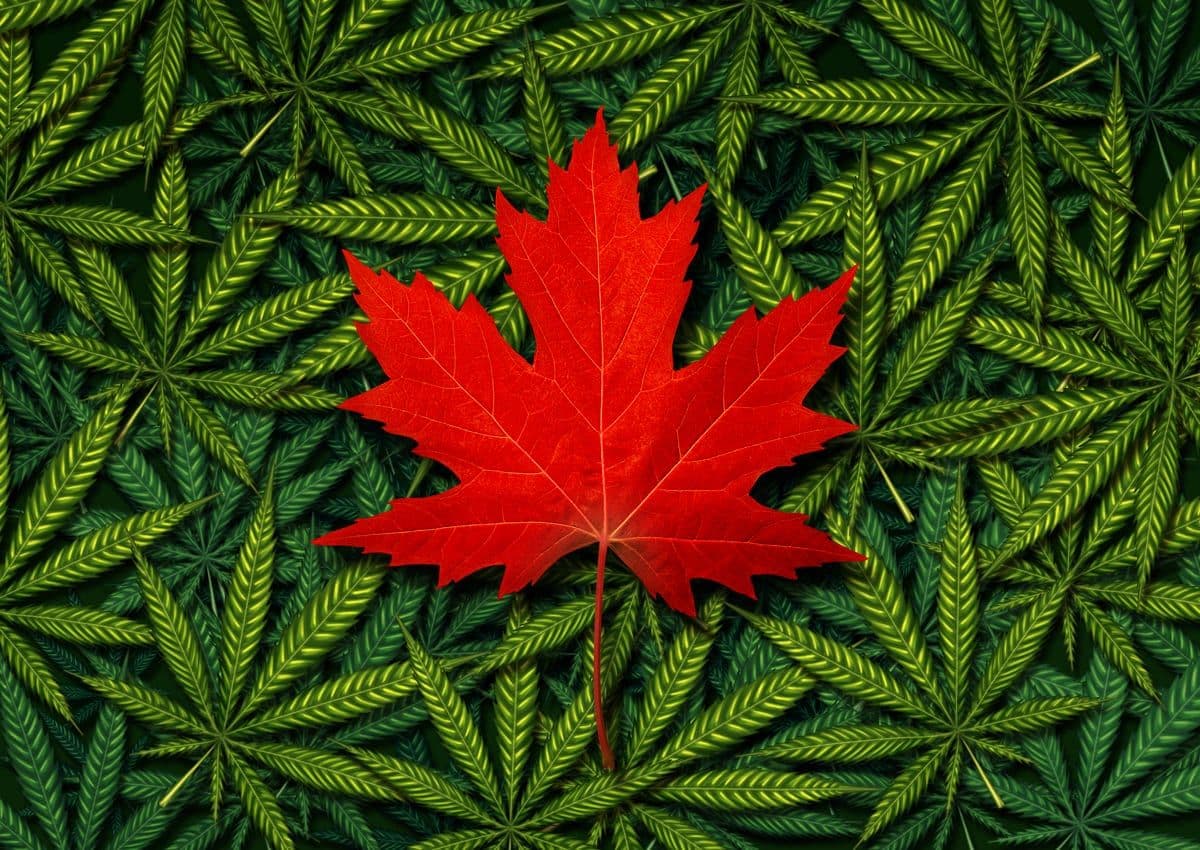 Health Canada Streamlines Licensing and Inspections for Marijuana Producers
