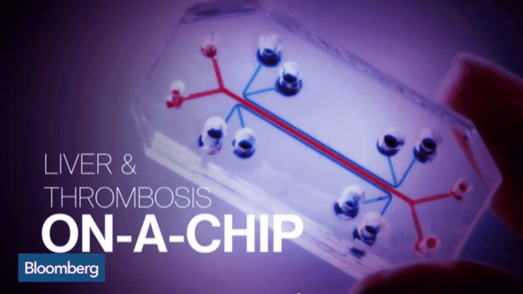 Organs-on-a-Chip Shake Up Drug Testing
