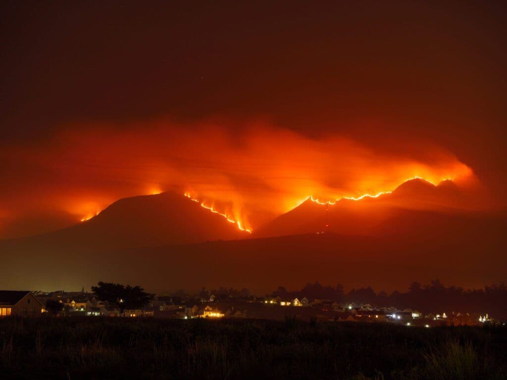The Truth About the Wildfires and Climate Change