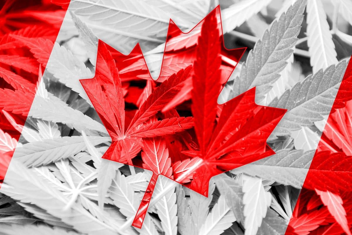 Liberals Table Bill Making Canada First Member of the G7 to Legalize Pot
