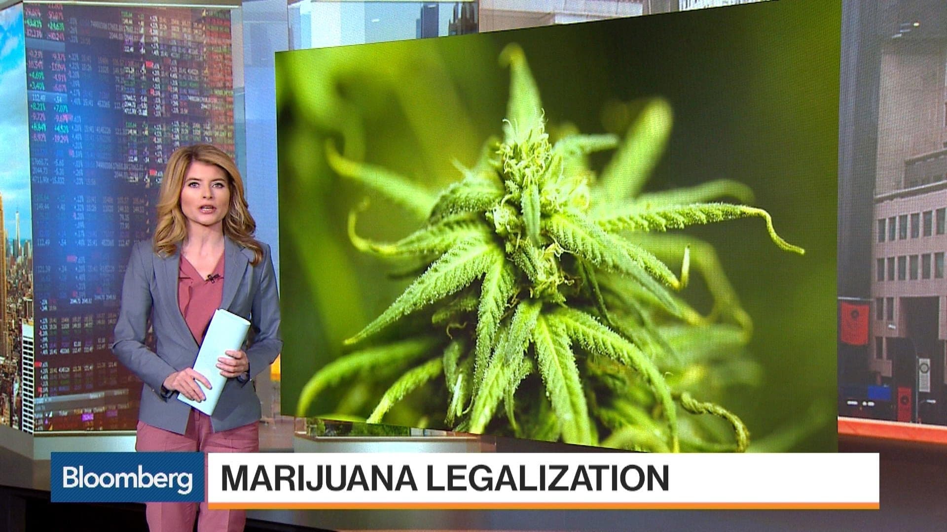 QuickTake: Marijuana's Road to U.S. Legalization