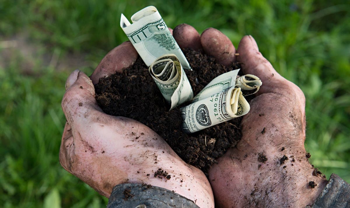 Proof that Money Grows on Trees
