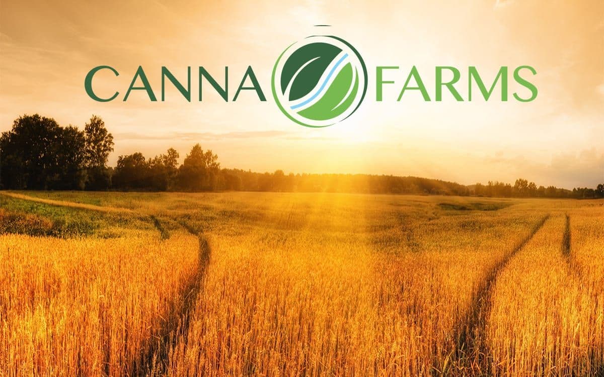 VIVO Cannabis Completes Acquisition of Canna Farms