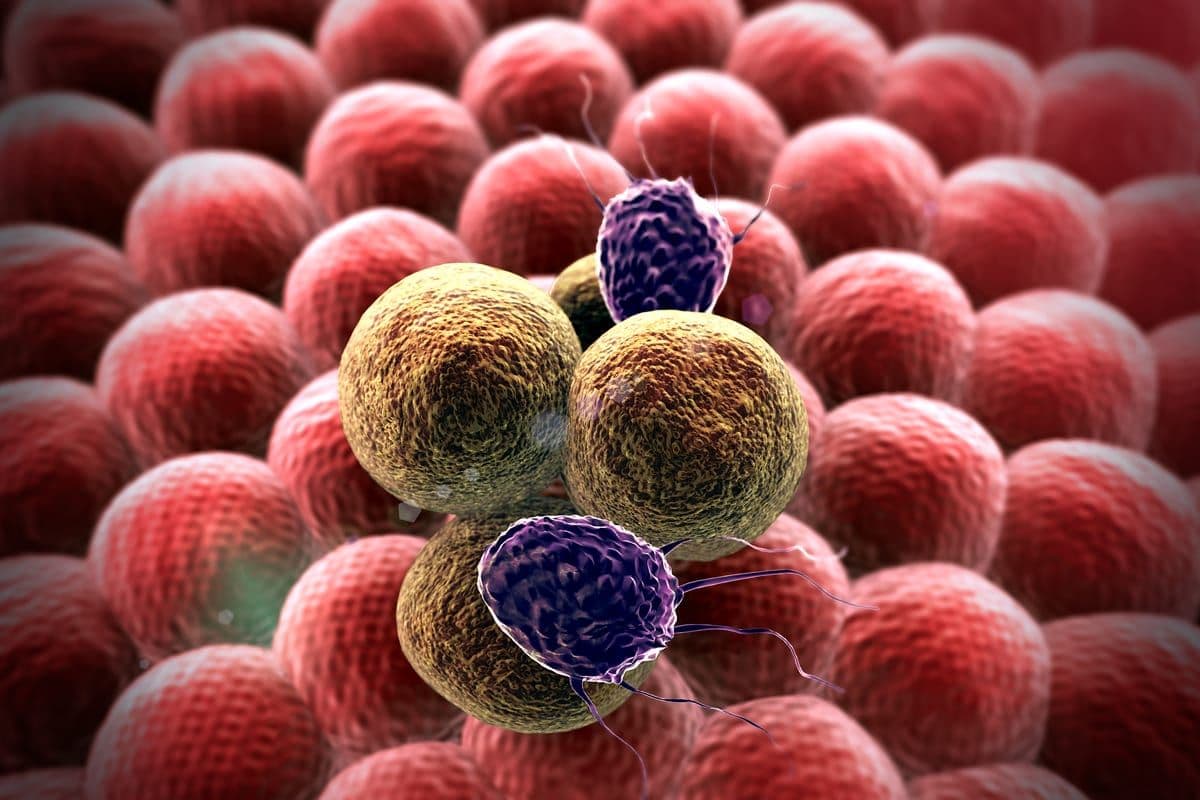 50/50: A Perfect Pilot Study from 3D Signatures on Blood-Based Prostate Cancer