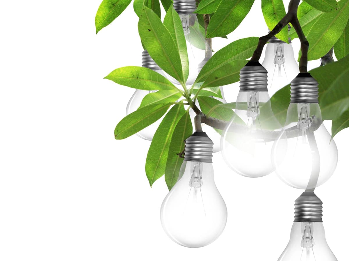 Limitless Energy? The Next Hot Energy Market