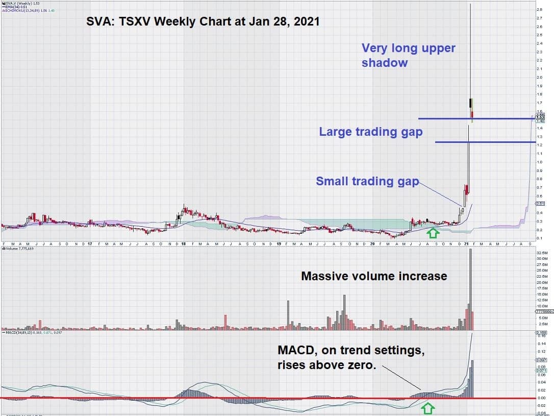 Sernova stock chart Jan 2021 Ichimoku Clouds Update