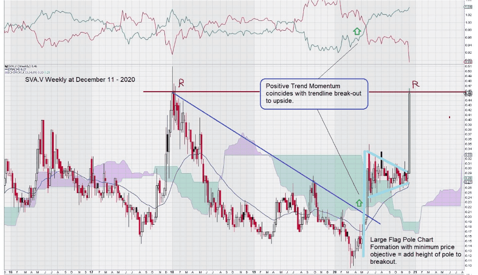 sernova weekly chart dec 2020