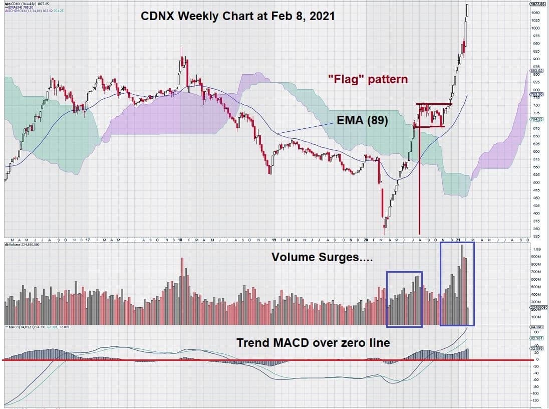 CDNX weekly chart feb 8, 2021