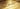 Gold Bars Close-up