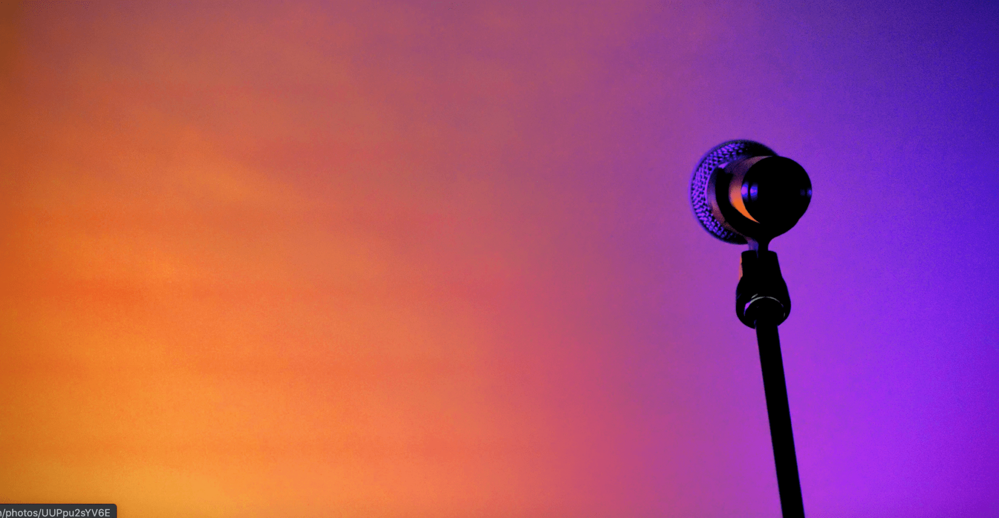 Spotlight