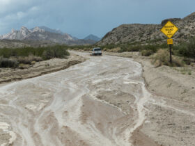 Desert Storm