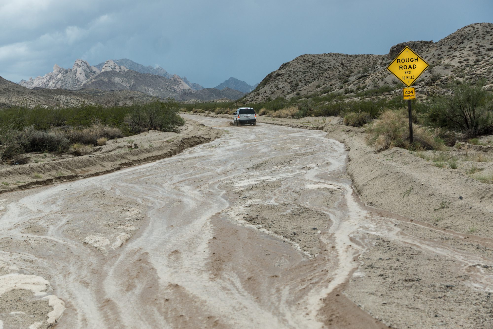 Desert Storm