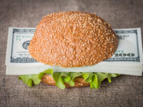 Hamburger with dollar bank notes