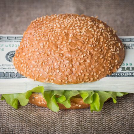 Hamburger with dollar bank notes