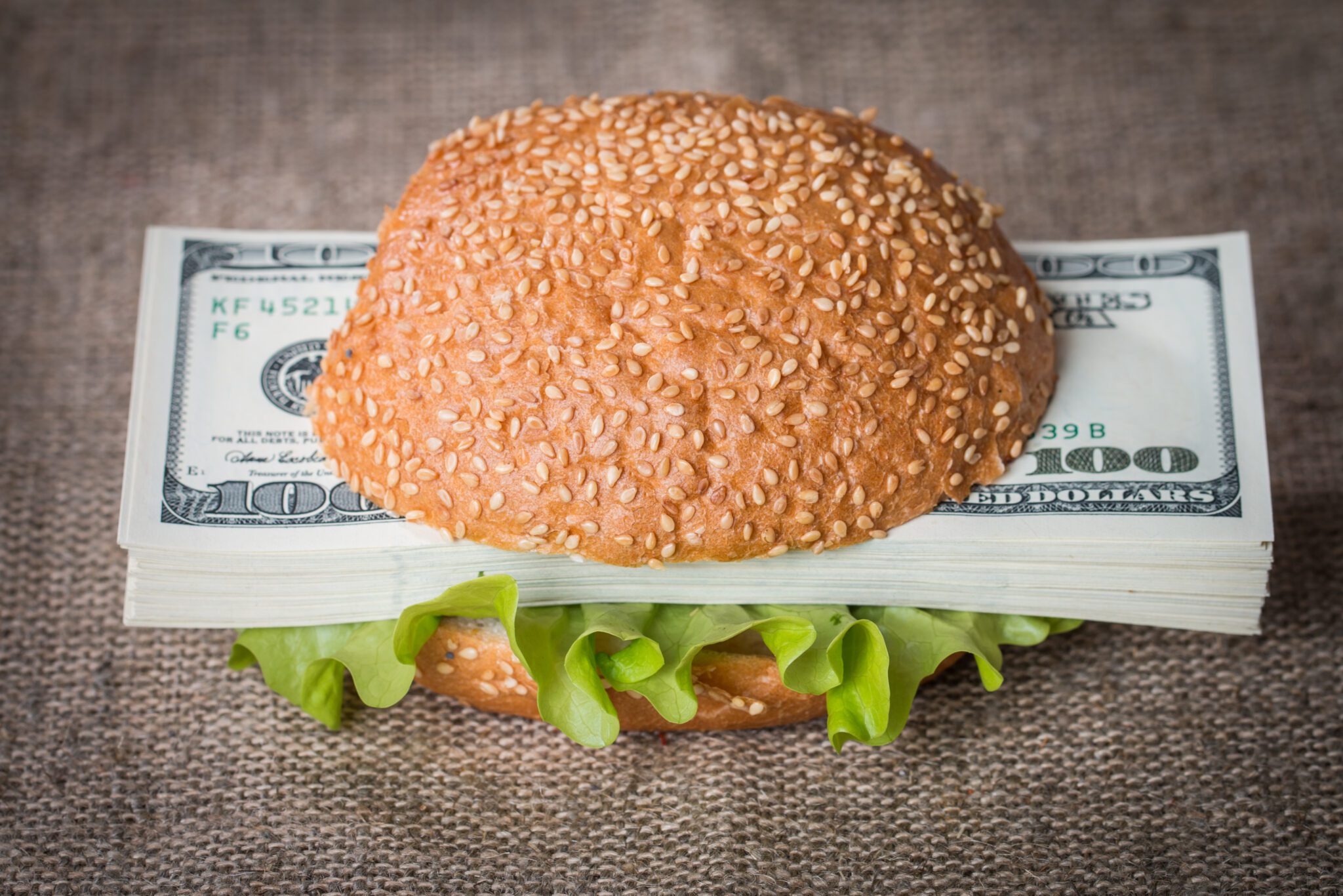 Hamburger with dollar bank notes