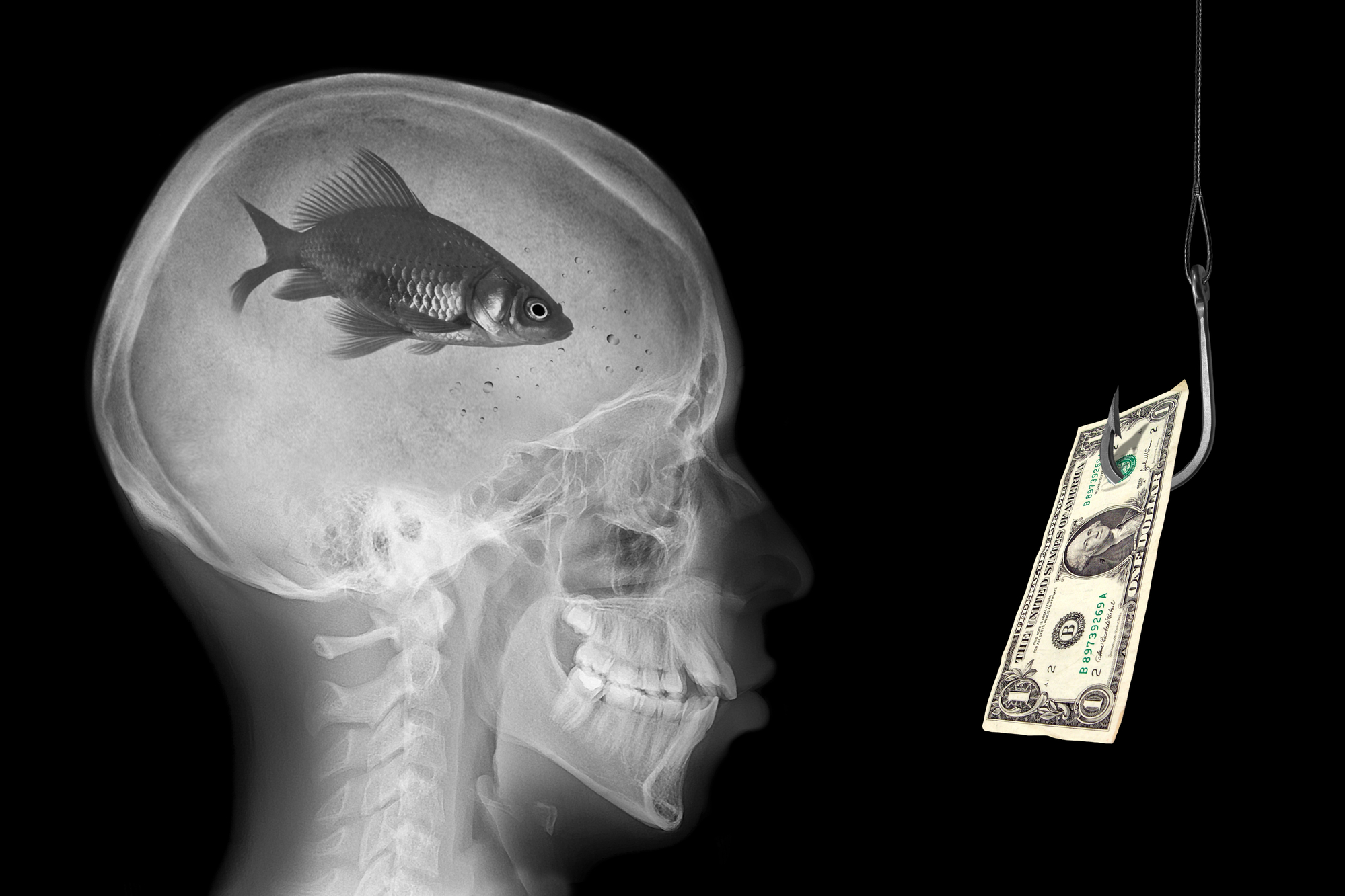 brain fishhook money