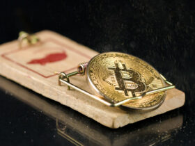 Bitcoin coin falling on a mouse trap. Naive investment concept and losing money