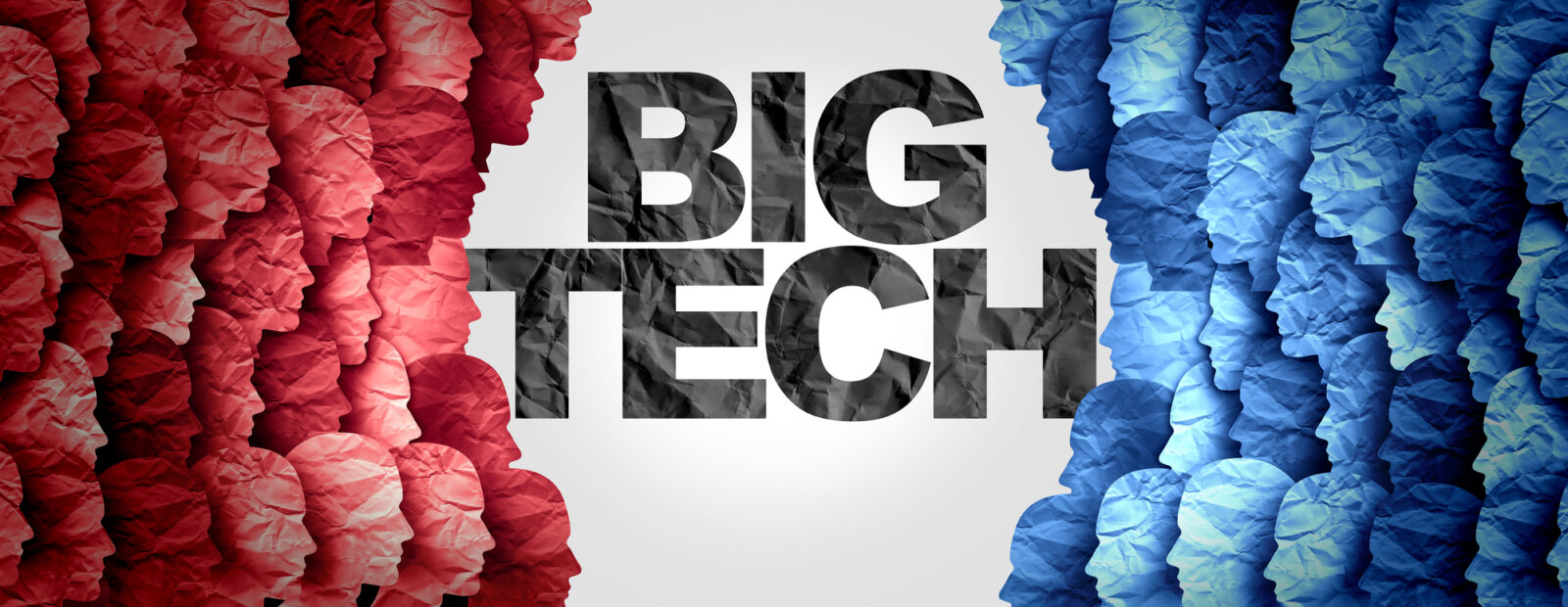 Big Tech Divided Society