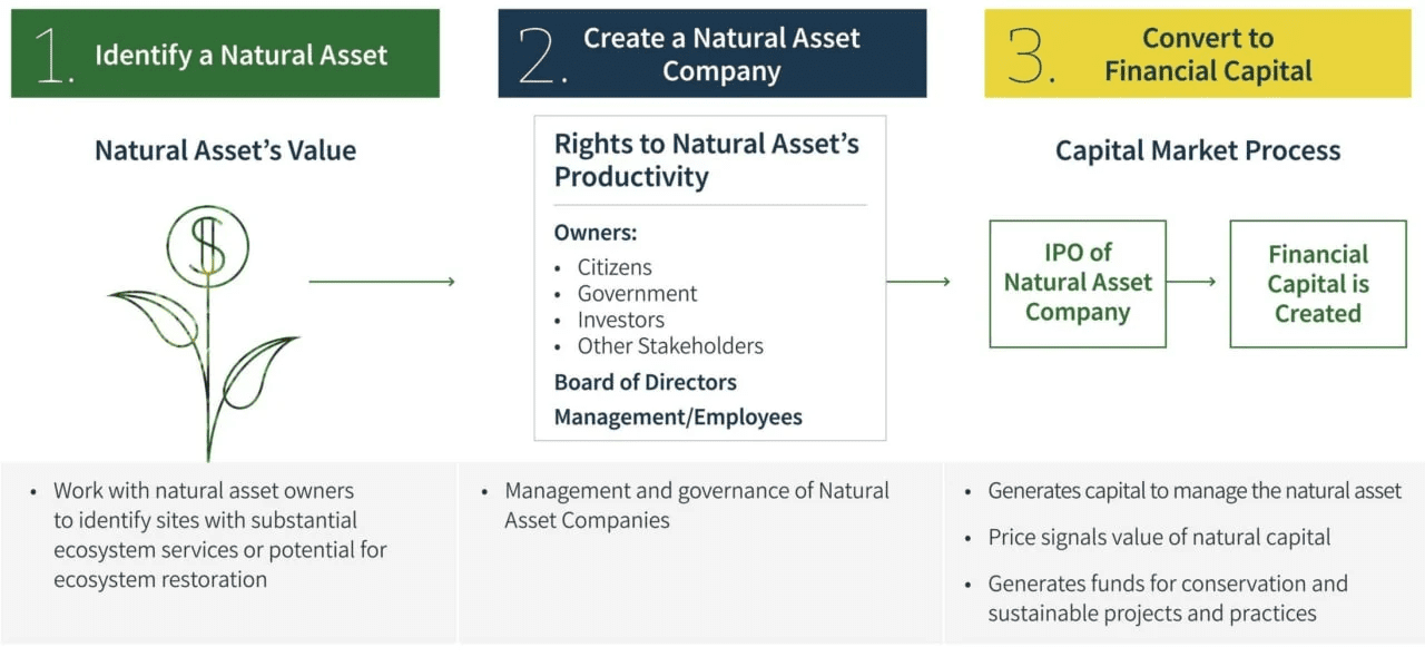 IEG framework