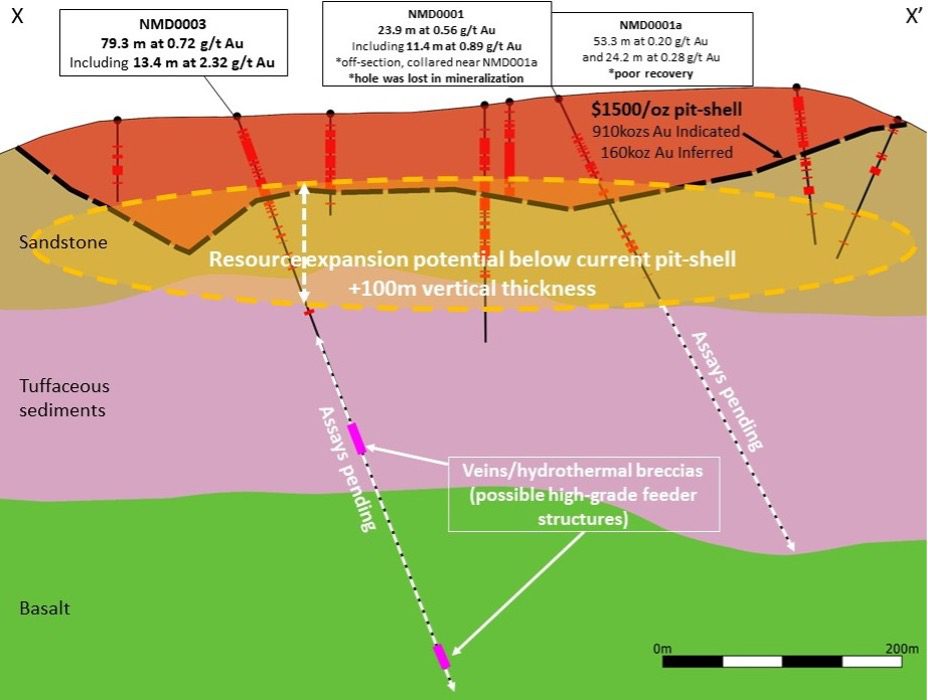 nevgold-drill-results-nutmeg image