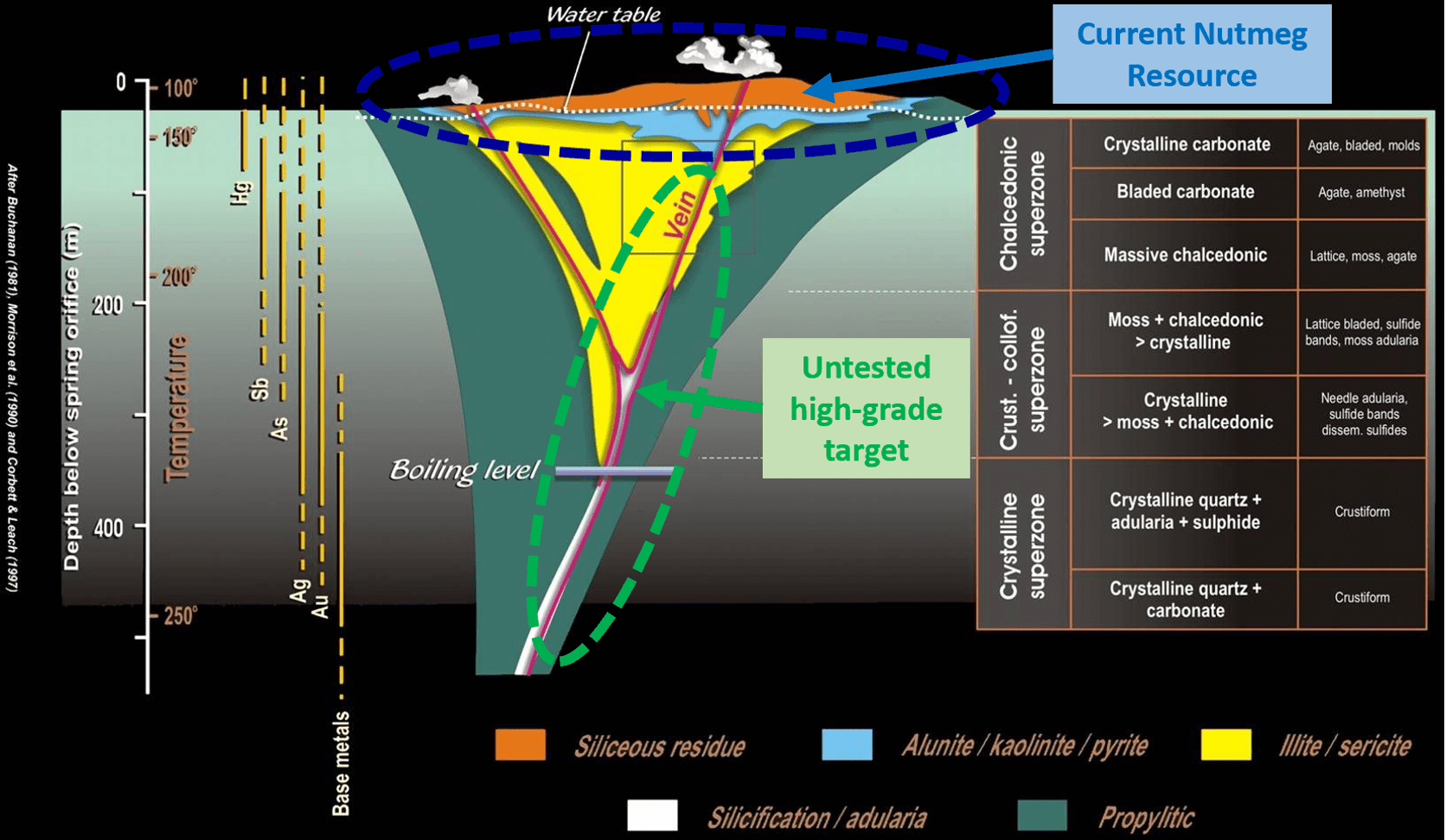 nutmeg-imagery image